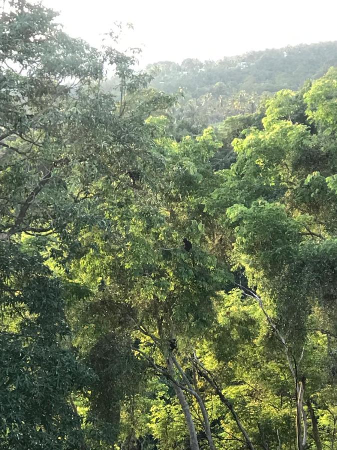Dragonfly Senaru Lodge Εξωτερικό φωτογραφία