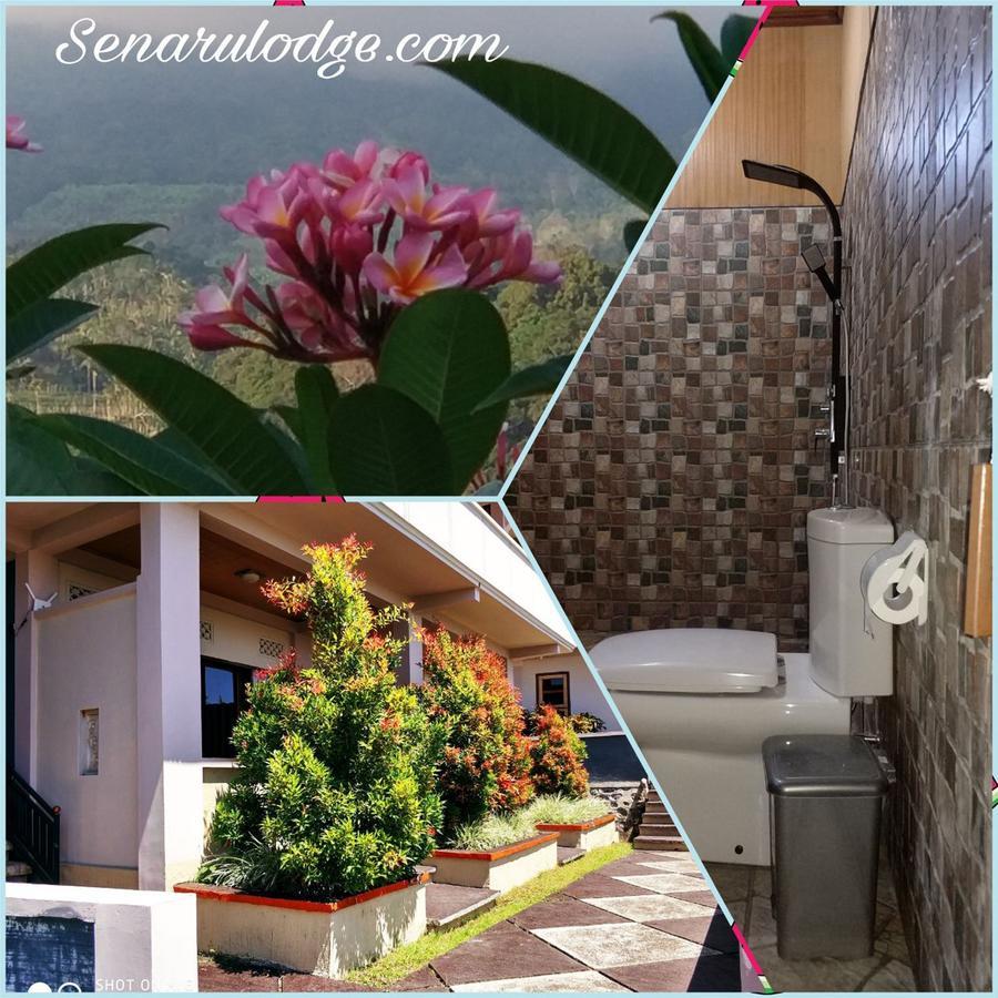 Dragonfly Senaru Lodge Εξωτερικό φωτογραφία